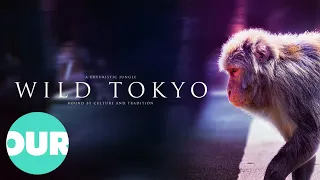 Wild Tokyo (Full 4K Documentary) | Our World