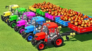 LOAD & TRANSPORT PEACHES WITH SCANIA & RIGITRAC TRACTORS Farming Simulator 22