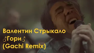 Валентин Стрыкало - ♂️Гори♂️ (right revsion, gachi remix)