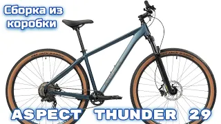 Aspect Thunder 29 сборка из коробки