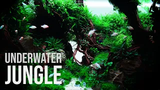 UNDERWATER JUNGLE in 450 liters with Tiger Barbs | 4K Cinematic