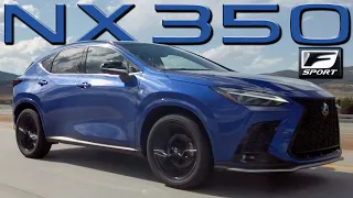 Lexus NX350 AWD F Sport - You Can Smell The Sport - Test Drive | Everyday Driver