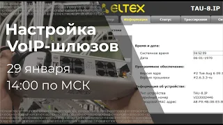 Настройка VoIP шлюзов Eltex. Вебинар