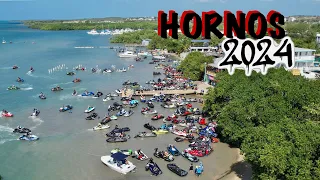 CORRIDA LOS HORNOS 2024 | PUERTO RICO