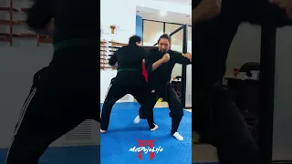 McDojo Short: Jumping Ninja Bullshido Takedown