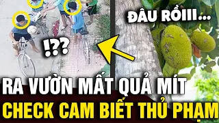 Sáng ra không thấy QUẢ MÍT trên cây, cô gái CHECK CAM phát hiện dàn THỦ PHẠM NHÍ |Tin Nhanh Official