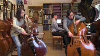 Shostakovich - Prelude from Five Pieces for two Violins and Piano, played on two Double Basses