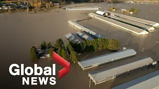 BC Floods: Abbotsford "not out of this yet" as water continues to pour into Sumas Prairie | FULL