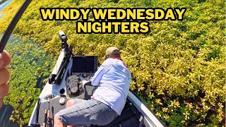 Windy Wednesday Nighters Preseason Week 3... California Delta