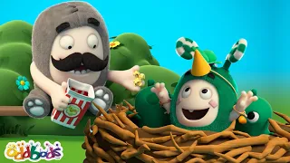 Зи в поисках еды🔍 | Чуддики | Смешные мультики для детей Oddbods