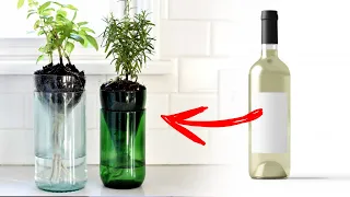 Self Watering WINE Planter - How to cut glass bottle easily at home