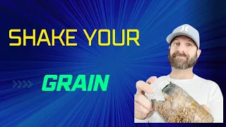 How and When to Shake Mycelium Grain Jar