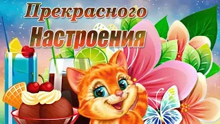 Позитив для друзей. Сборник смешных анекдотов. Улыбайся!!!!😀 / Smile. Have a good day! / Посміхнись!