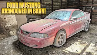 First Wash in 8 Years: ABANDONED Barn Find Ford Mustang! | Car Detailing Restoration