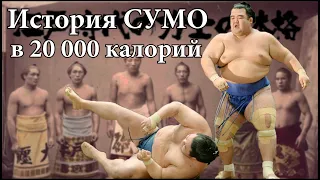 История Борьбы Сумо. Питание Сумоиста 20 000 калорий в день! Почему Сумотори не были толстыми?