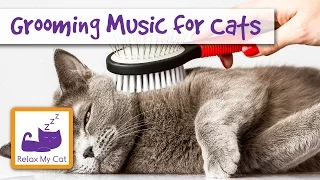1 Hour of Grooming Music for Cats! Music for Grooming and Bathing Cats! 🐱 #GROOM03