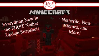 EVERYTHING NEW in the Nether Update - In Depth Netherite and New Biomes Showcase - Snapshot 20w06a