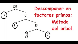 Descomposición en factores primos Método del Árbol (Facil)