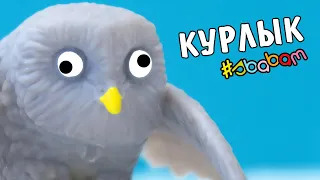 КУРА в ПАКЕТЕ! Повелители Неба от СБАБАМ и Animal Discovery