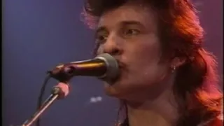 Mink DeVille - Hey Joe