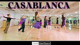 [수요직장인반] Casablanca Line Dance ||카사블랑카 라인댄스 champlinedance 010 8833 4921