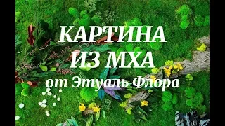 Стабилизированный мох: как создать картину из мха?