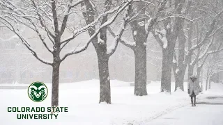 What is Thundersnow? What Causes This Rare Winter Storm?