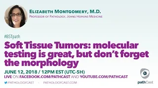 Soft tissue pathology - Dr. Montgomery (Hopkins) #BSTPATH