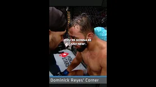 Remember Dominick Reyes