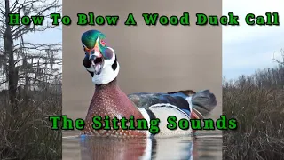 How To Blow a Wood Duck Call   The Sitting Sounds