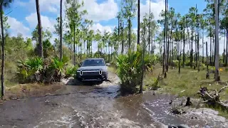 Rivian RT1 deep mud