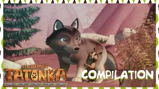 Tatonka en Français 🐺 Nouvelle Compilation 1H 🤩 Dessin animé de loups