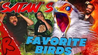 The Psychopathic Hunting Habits of Satan's Favorite Birds - @mndiaye_97 | RENEGADES REACT