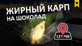 Трофейные Карпы на Янтарном! Проверяем точку - Русская Рыбалка 4