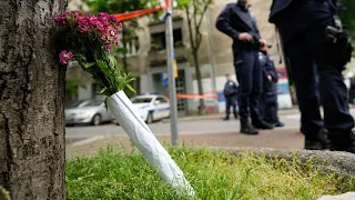 Children killed in Serbia school shooting