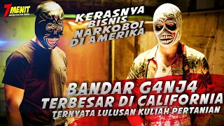 Pintar BUDIDAYA G4NJA Sampai Menjadi B4NDAR G4nja TERBESAR di AMERIKA