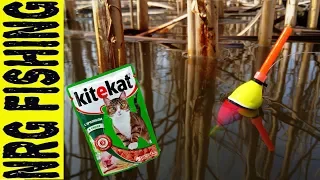 Ловля КРУПНОГО КАРАСЯ на Kitekat!!! | КТО БЫ МОГ ПОДУМАТЬ!?!?