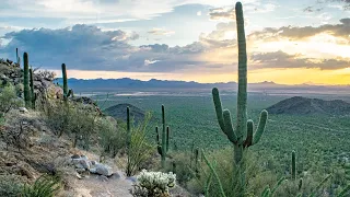 Hiking the Douglas Spring Trail in Tucson