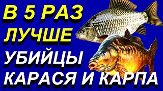 Донный Монтаж для Ловли Карпа и Карася на Озере, Оснастка Донной Снасти для Ловли Весной, Летом