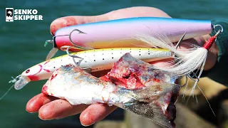 Lure fishing VS Bait fishing! Fishing Cape Cod Canal