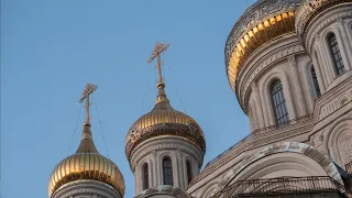 Литургия. Неделя о мытаре и фарисее. Собор Новомучеников и Исповедников Церкви Русской
