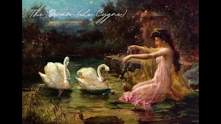 saint-saens: the swan (le cygne) with rain | 1 hour study, sleep, relax