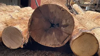 Is this log rotten?  #15