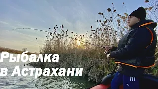 Рыбалка в Астрахани. БЕШЕННЫЙ клев СУДАКА! ДЖИГ Спиннинг на ЯМАХ. ч. 2