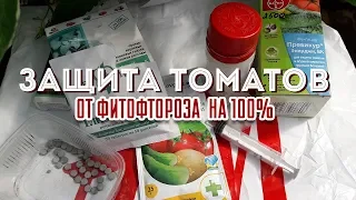 Защита и лечение  томатов от фитофтороза  на 100%