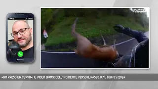 «HO PRESO UN CERVO»: IL VIDEO SHOCK DELL'INCIDENTE VERSO IL PASSO GIAU | 06/05/2024