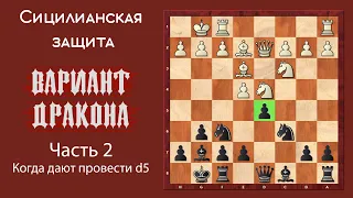 Сицилианская защита. Вариант Дракона (часть 2). Когда дают провести d5