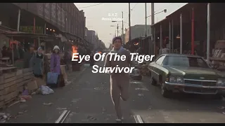 Eye Of The Tiger-Survivor (Letra en Español y Inglés)