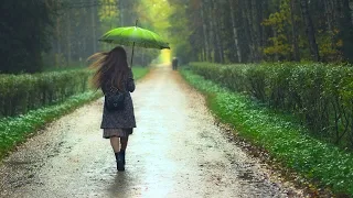 The Most Beautiful Music in the World For Your Heart❤️Romantic Music Of Spring Rain- Sergey Grischuk