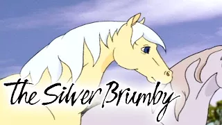 The Silver Brumby - Episode 16 | Swimming to Safety | HD | Full Episode | Videos For Kids